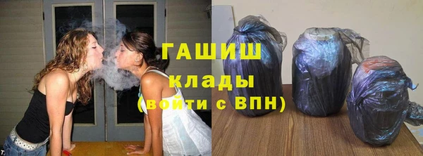 СК Новодвинск