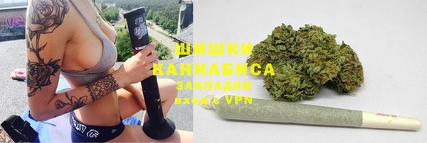 прущие крисы Новозыбков