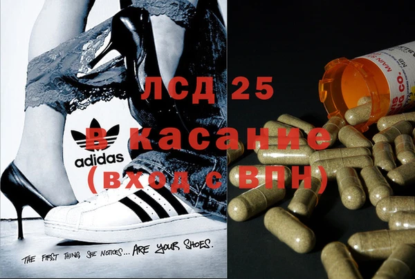 прущие крисы Новозыбков