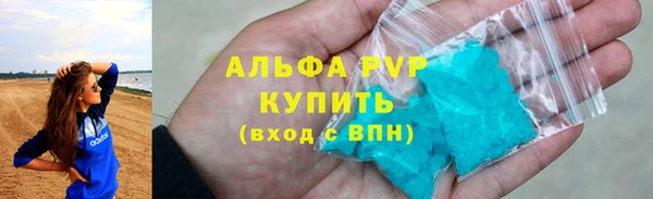 СК Новодвинск