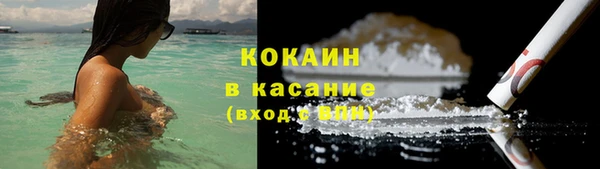 СК Новодвинск