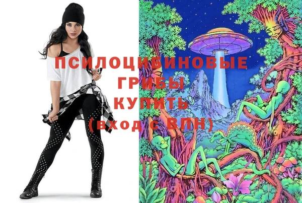 СК Новодвинск