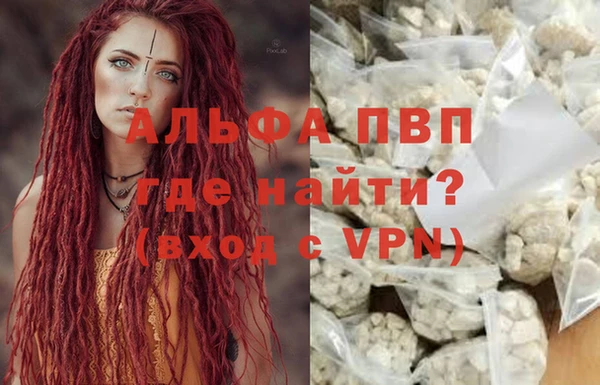 прущие крисы Новозыбков