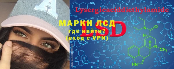 прущие крисы Новозыбков