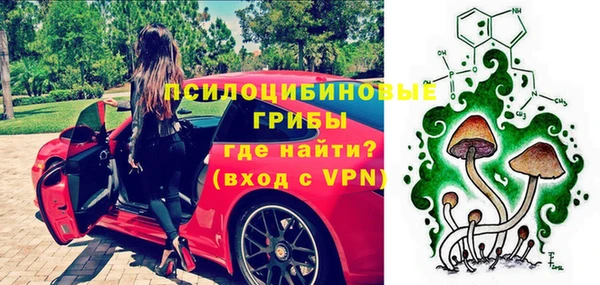 СК Новодвинск
