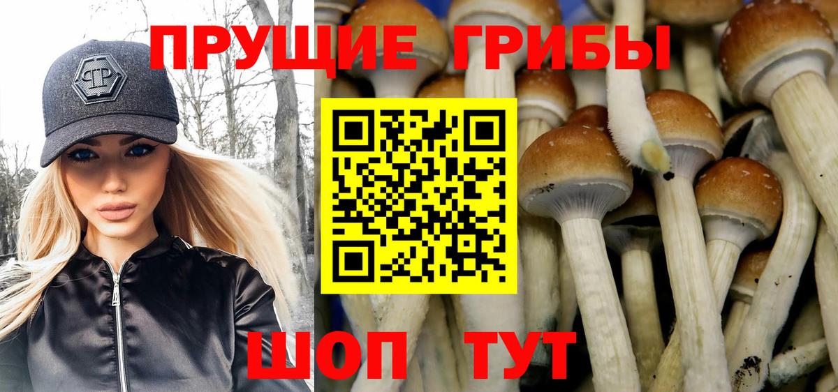 Галлюциногенные грибы мицелий  Вход с VPN  Красный Сулин 